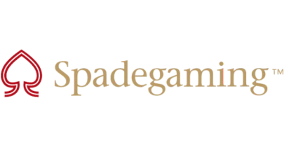 partners who work with SpinGenie